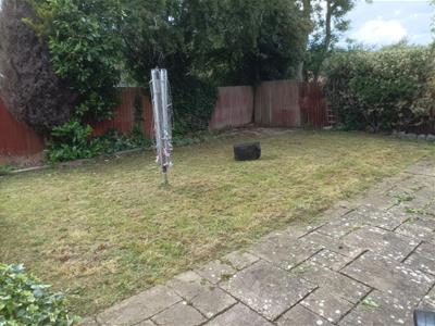 Picture 17